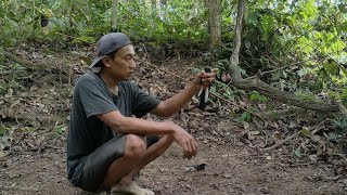 CEPAT DAN LANGSUNG LENGKET || MIKAT MURAI BATU HUTAN