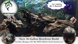 New 36 Gallon Bowfront Tank Build - Another Relapse Of My Multi-Tank Syndrome...