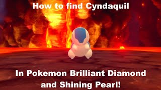 How to catch Cyndaquil in Pokemon Brilliant Diamond and Shining Pearl!