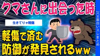【2ch社会問題スレ】クマさんに出会った時、軽傷で済む防御が発見されるｗｗｗ【ゆっくり解説】