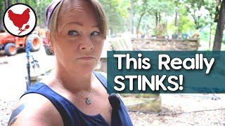 This STINKS | And a Silver Lining