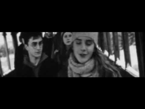 fremione my perfect love.wmv camera iphone 8 plus apk