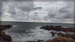                                               عمرو دياب    هيعيش يفتكرني   كلمات    تصميم فيديو   - اسمعها