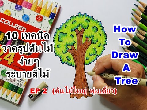 10 เทคนิควาดรูปต้นไม้ ง่ายๆ ระบายสีไม้(EP2 ต้นไม้ใหญ่ ทรงพุ่มเดี่ยว)/How To Draw A Tree/Art For Kids