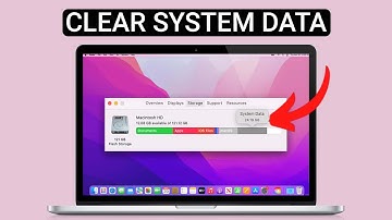 How to clear System Dat or Other Storage on Mac (2025) - Full Guide