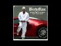 Birdman Ft Rick Ross Born Stunna Clear BassBoosted mp3