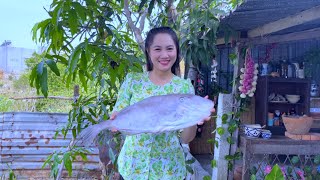 Cá Bò Da Gần 3kg Về Nấu Bửa Cơm Gia Đình