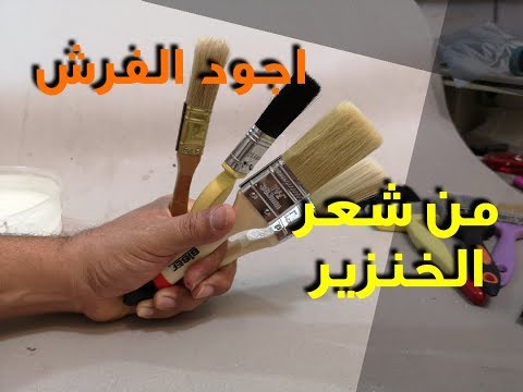 فيديو: ما هي فرش الطلاء