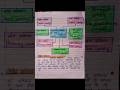 Explain the types and levels of cognitive learning B.Ed notes #dailyshorts #shortvideo #notes
