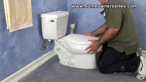 Leaking Toilet Base