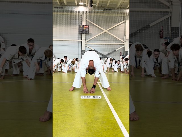 Baltic Fighting Camp 2026 #kyokushin #shinkyokushin #karate #1kyokushin #一極真 #極真会館