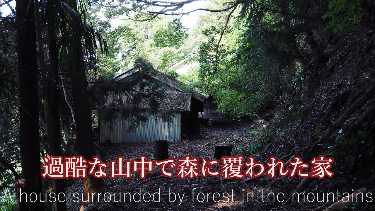 こんな山奥に人々が暮していた！森に覆われた驚きの集落…上ケ井　People lived deep in the forested mountains