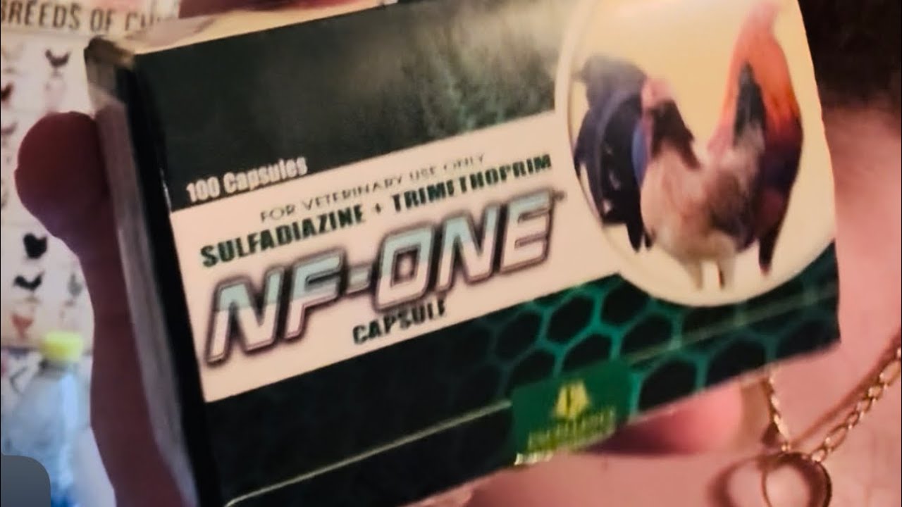 NF-ONE Capsules our GO-TO FAVORITE Meds for CROP BOUND 100% CURE! Never ...