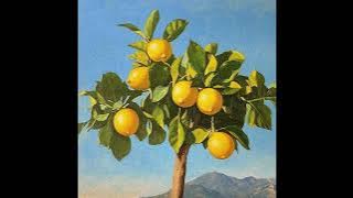 (FREE) SMINO x ISAIAH RASHAD TYPE BEAT 'LEMON TREE' | CHILL RAP TYPE BEAT