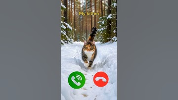 catcall #aicat #ringtone #ringtones #iphone #cat #shorts #catcalling #monkcall #monk #smartphone