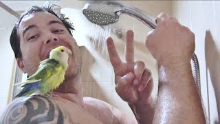 DÚCHATE con tu AGAPORNI / shower with your lovebird