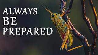 ALWAYS BE PREPARED FOR TOMORROW - English Moral Story screenshot 5