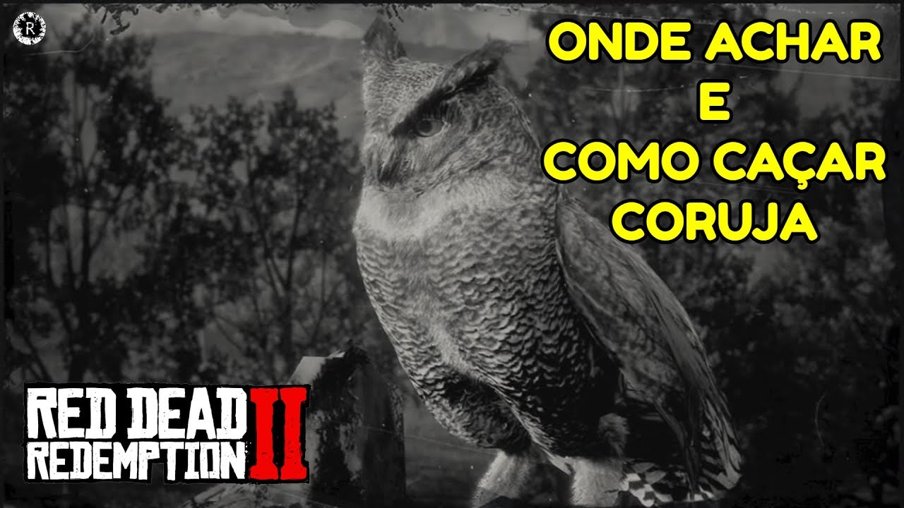 RED DEAD REDEMPTION 2 - COMO CAÇAR CORUJA ( Dicas )