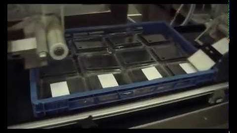 Labelling system for fruit punnets into a plastic tray