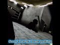 Playing ring around the Rosie with a monster in scary baboon (Sorry for not posting) #edit #fangame