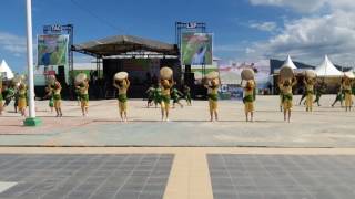 Download Lagu LSP tari massal (tari kreasi panen padi ) KAB.TOLITOLI MP3