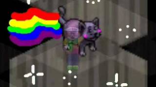 Habboon Nyan