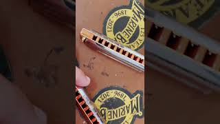 Gaitas da Indiara Sfair! Marine Band Custom! #gaita #harmonica @indiarasfair @HohnerMusic