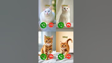 catcall #aicat #ringtone #ringtones #iphone #cat #shorts #catcalling #monkcall #monk #smartphone