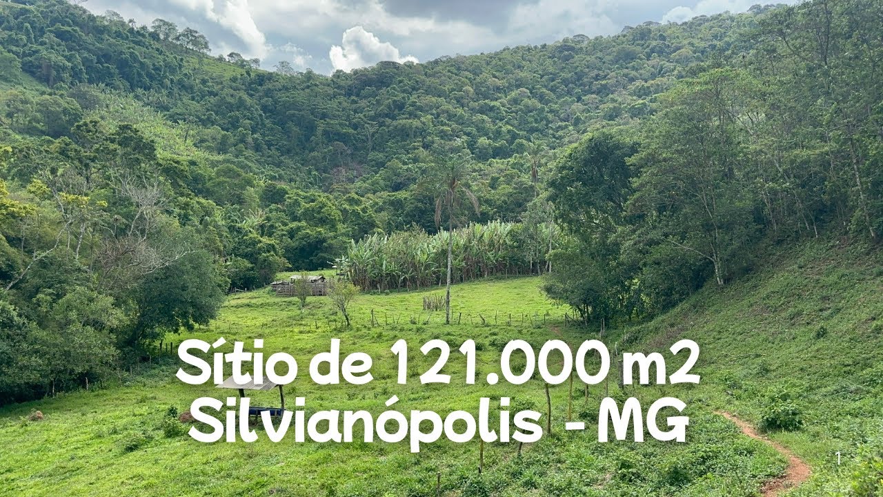 É ideal para quem deseja plantar café, abacate, criar gado e Construir sua Casa 🏠 no Alto do Morro.