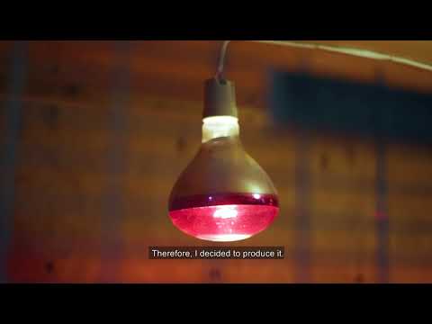 ზაურ კუდუხოვი