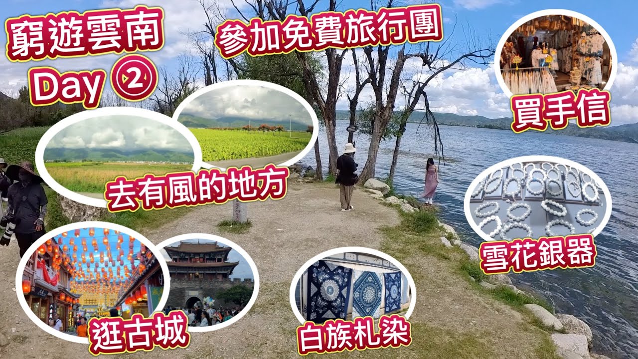 窮遊雲南 Day ② 免費旅行團有冇伏？去有風的地方，黃金稻田，花海，古城，白族，札染，雪花銀，買手信