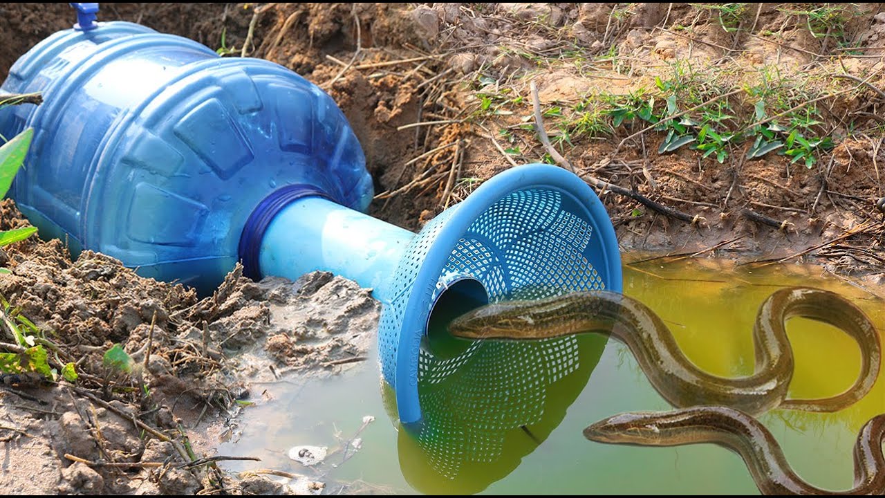 Creative Girl Make Amazing Eel Trap Using Blue Bottle To Catch A Lot Of