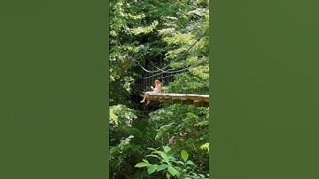 A slow morning at the cottage🧚 #cottagecore #countrylife #aesthetic