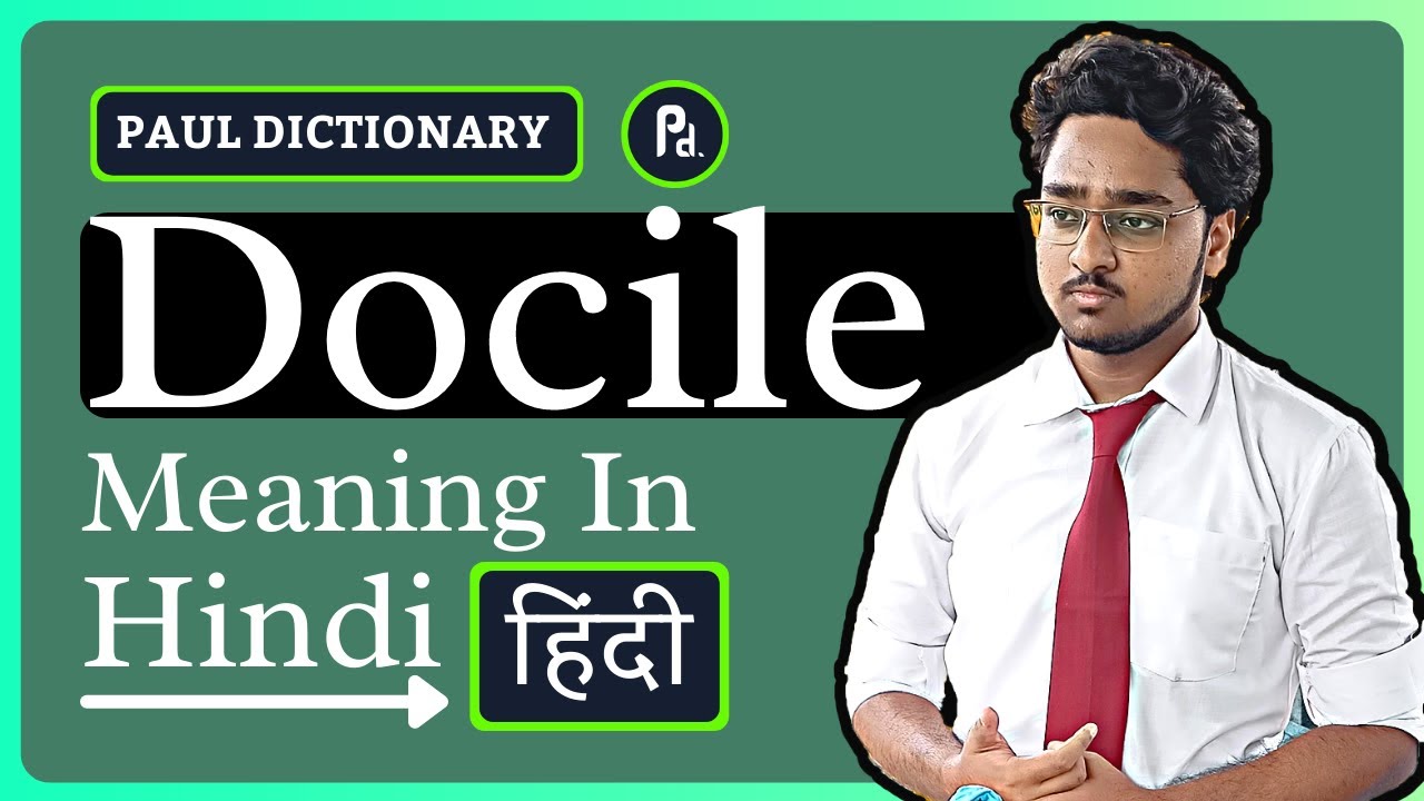Docile Meaning In Hindi Urdu Meaning Of Docile Docile Ka Matlab docile-meaning-in-hindi-docile-ka-kya-matlab-hota-hai-youtube