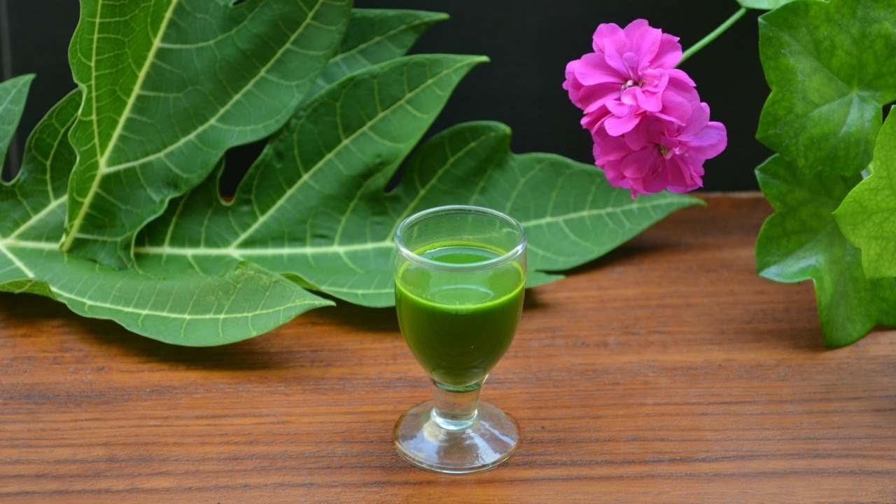 How To Drink Papaya Leaf Juice To Detoxify Liver, Reverse Fatty Liver