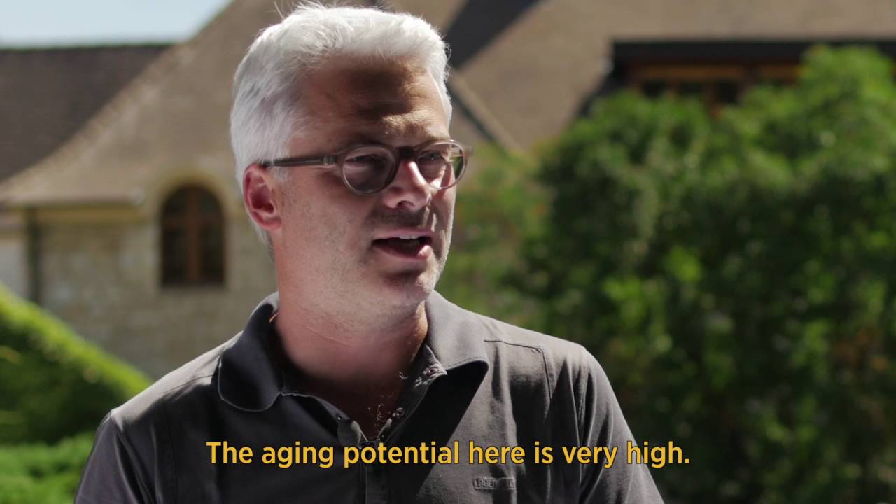 Jean-Claude Boisset - Saint-Aubin Premier Cru "En Remilly"