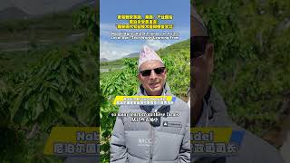 Nepali Agricultural Trainees in Ya'an, China: Local Agri-Tech Worth Learning From
