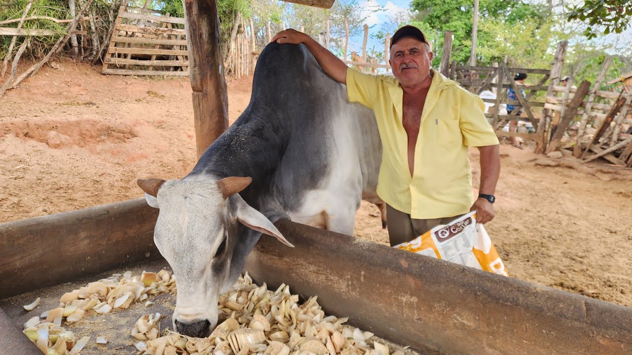 Visitando os Amigos em João Alfredo - Pernambuco ( Neco Porteira )  15 de janeiro de 2026
