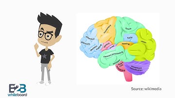 Neuromarketing - Defined