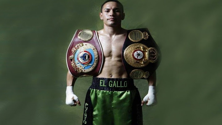 Juan Francisco Estrada - El Gallo (Highlights / Knockouts)