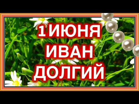 1 июня Иван Долгий. День дольше ночи