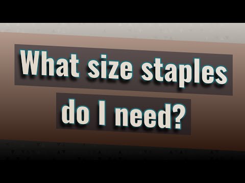 What Size Staples Do I Need