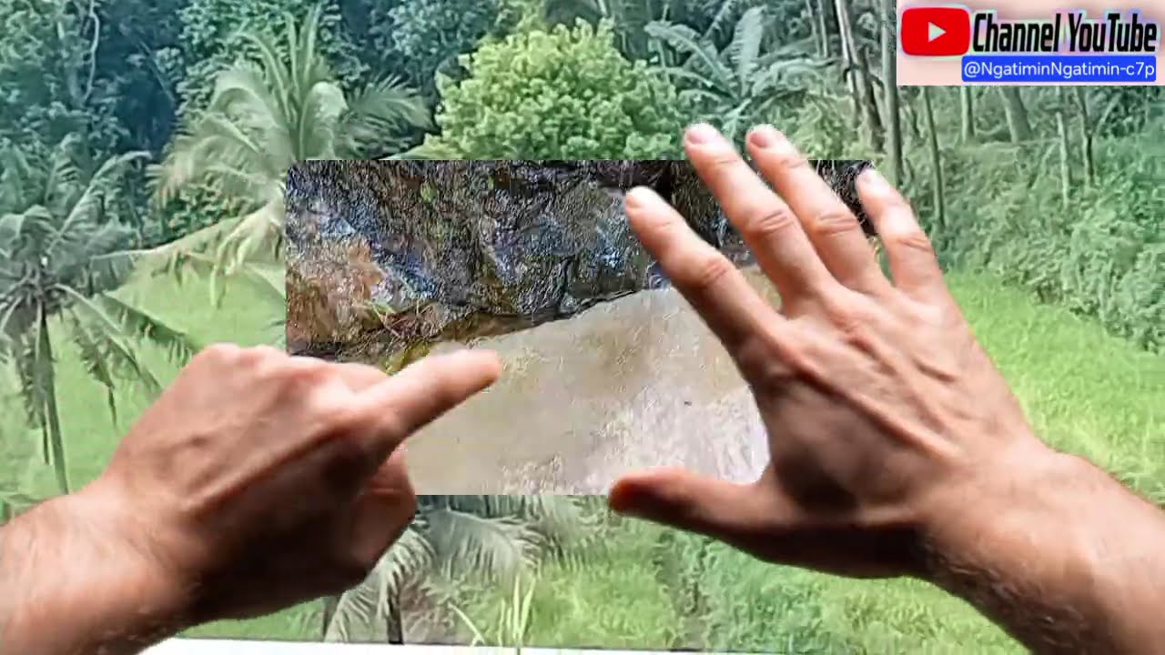 SUNGGUH MENGEJUTKAN  INDAHNYA SUASANA KEDUNG KANDANG