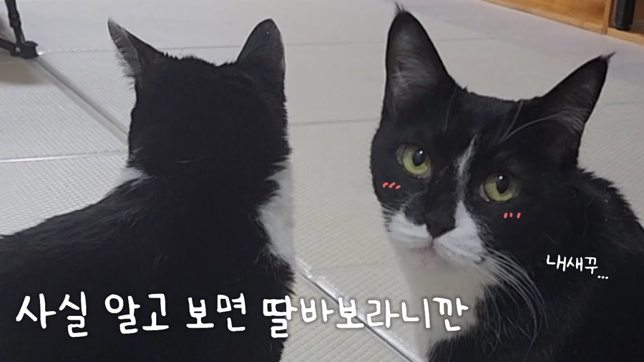 사실 알고 보면 딸바보라니깐....🥰