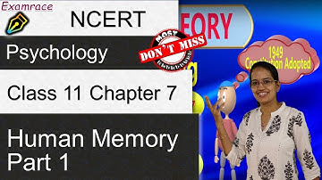 Human Memory: Stage Model, Working Memory, LTM & Types| NCERT Class 11 Psychology Chapter 7 Part 1