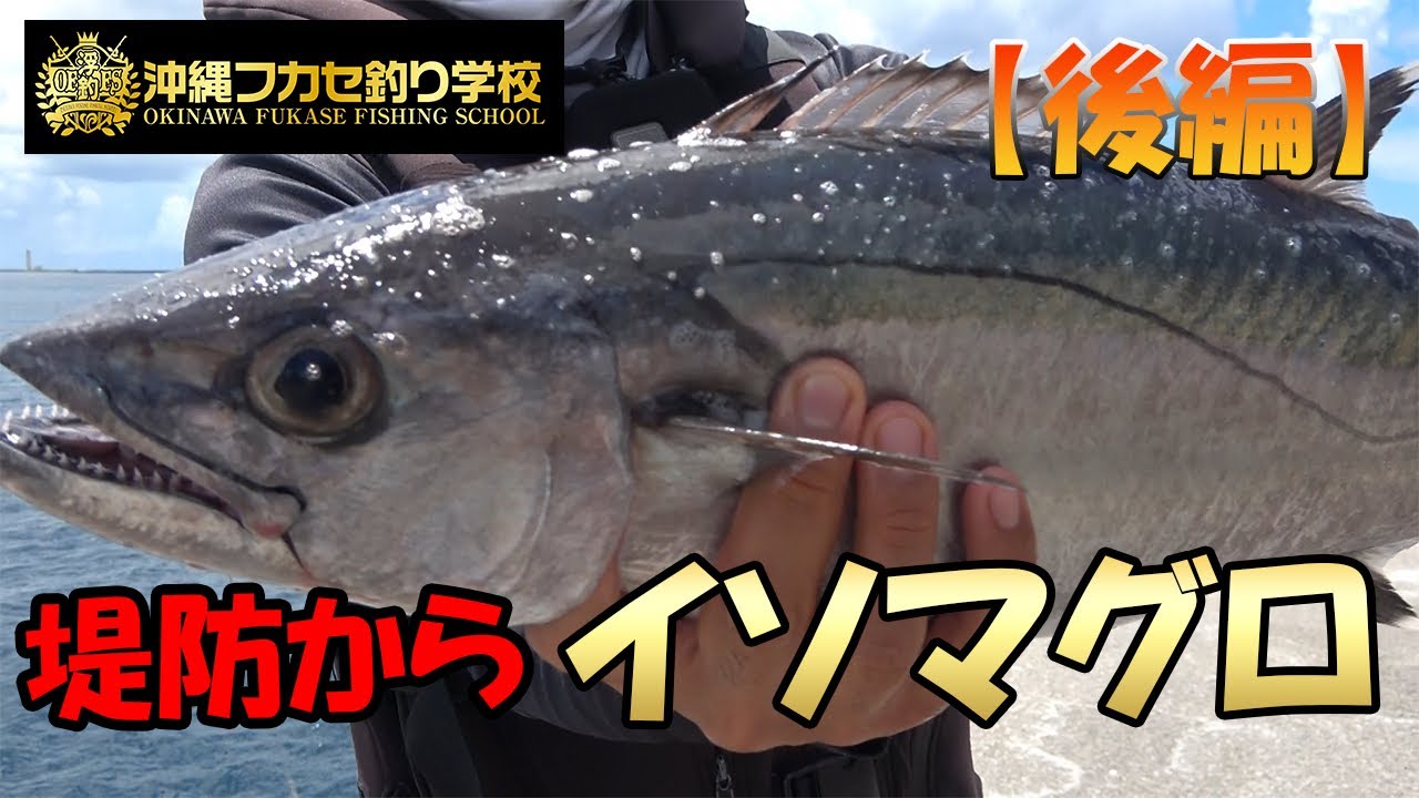 那覇一文字　新堤でムロアジパーティー？！泳がせ釣りで回遊魚を狙う！！【後編】