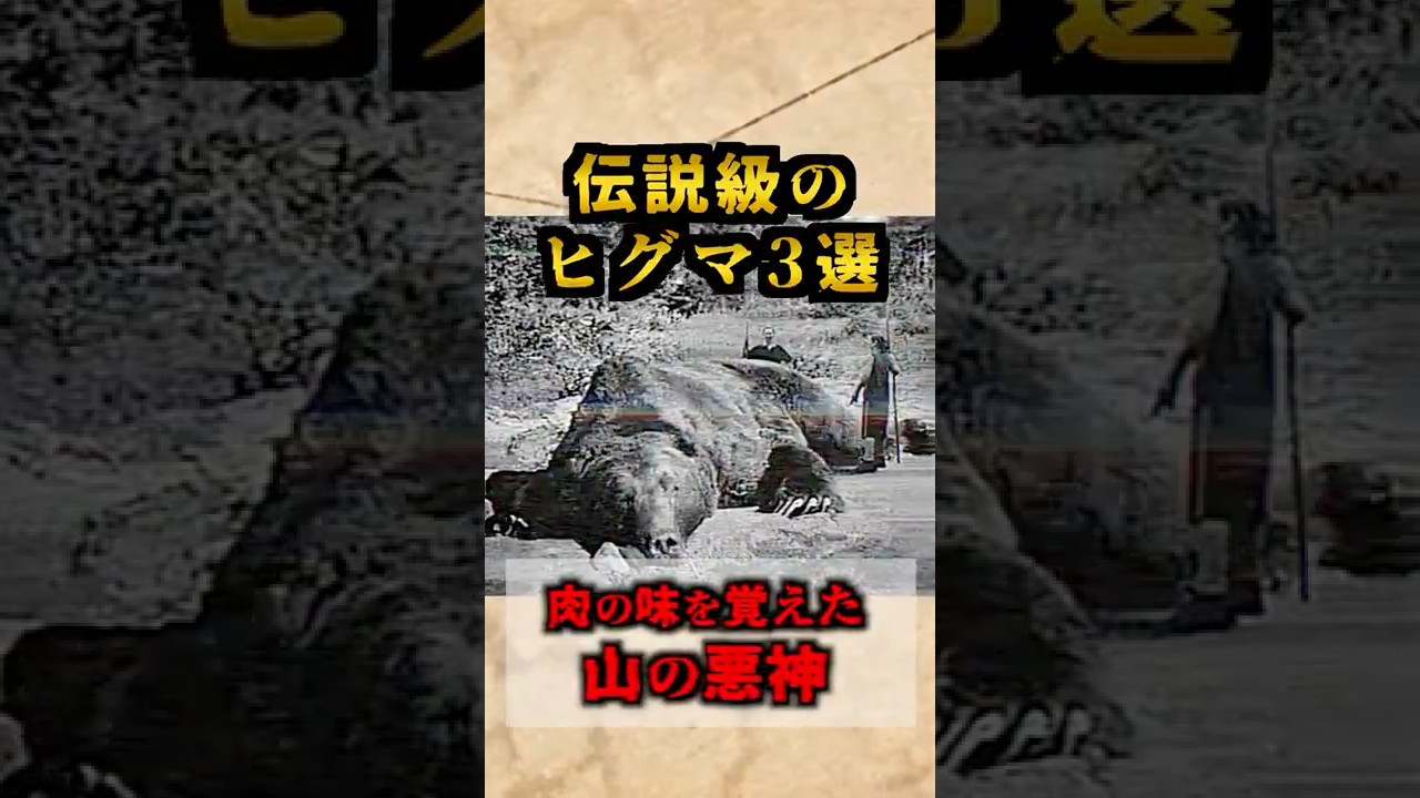 【最恐】伝説級のヒグマ3選 エゾヒグマ