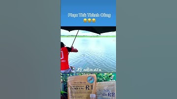 P3 bo cá trong câu đài #camr1 #camr2 #câuđài #câucá #rophi #catrasong #cákhủng