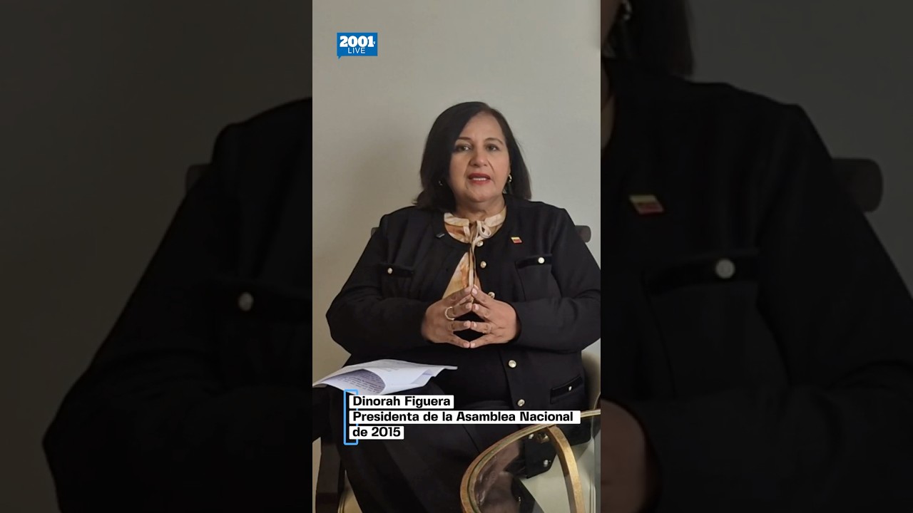 Dinorah Figuera admite limitaciones del sector opositor en el diálogo para labores ejecutivas