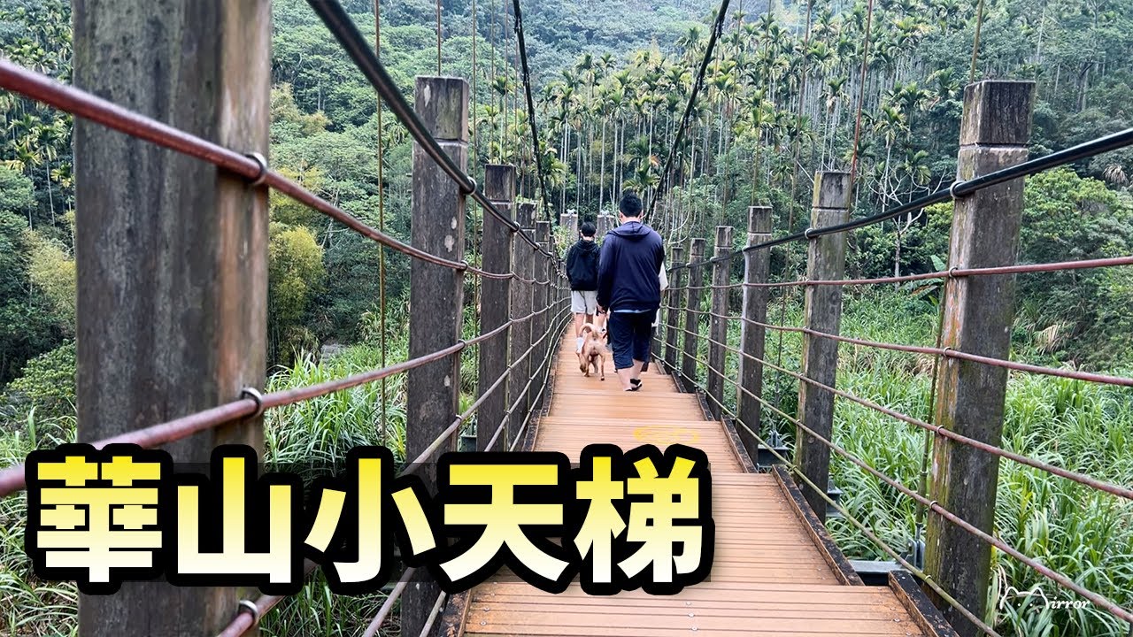 華山小天梯｜華山溪吊橋｜雲林縣古坑鄉華山休閒農業區｜華山土石流園區｜櫻花步道｜華山咖啡大街